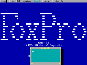 Visual FoxPro Application Screenshot 3